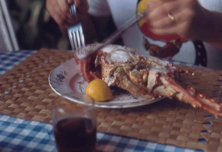 Bild14TN Hummer rest. St.Bartelemy.jpg