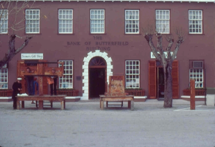 Bild20TN Skamstock Bermuda Sivgren.jpg