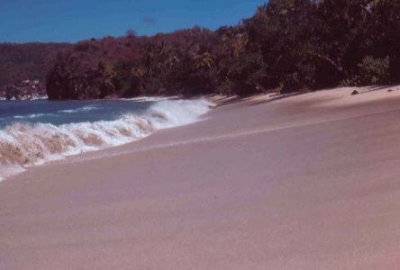 Bild7TN Strand Hrligt.jpg