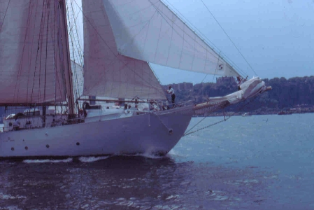 Bild16TN Gladan Hudson River.jpg