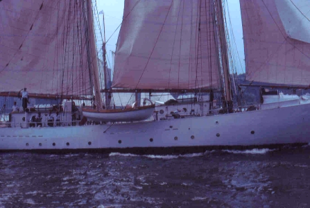 Bild21TN Gladan 76 Hlsar.jpg