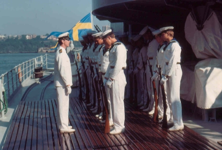 Bild2TN Parad 3 vakten SVK.jpg